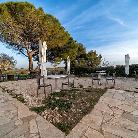 Agriturismo Tenuta Del Grillaio Акуавива-делле-Фонти Экстерьер фото